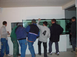 positionnement de l'aquarium