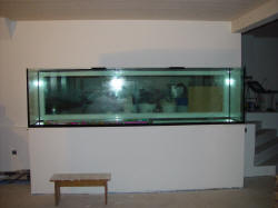 aquarium de 3 mètres vide